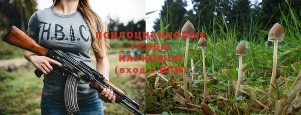 шишки Зеленодольск