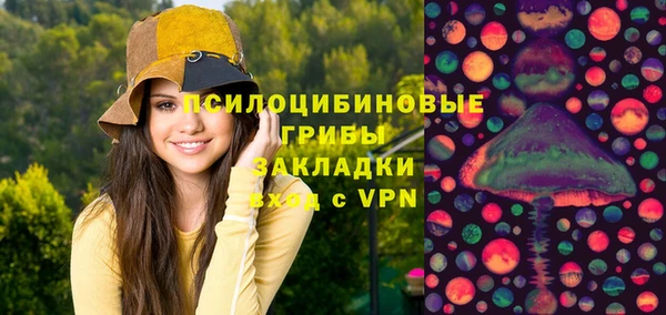 шишки Зеленодольск