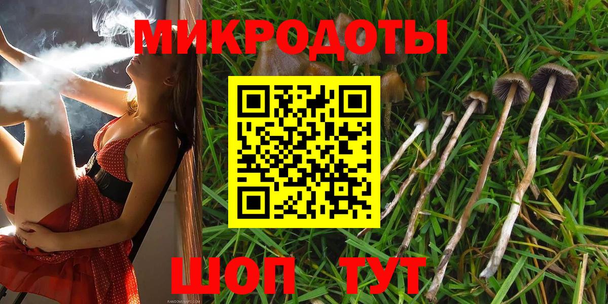 Галлюциногенные грибы Psilocybine cubensis  Вход с VPN  Псилоцибиновые грибы Psilocybe  Югорск 