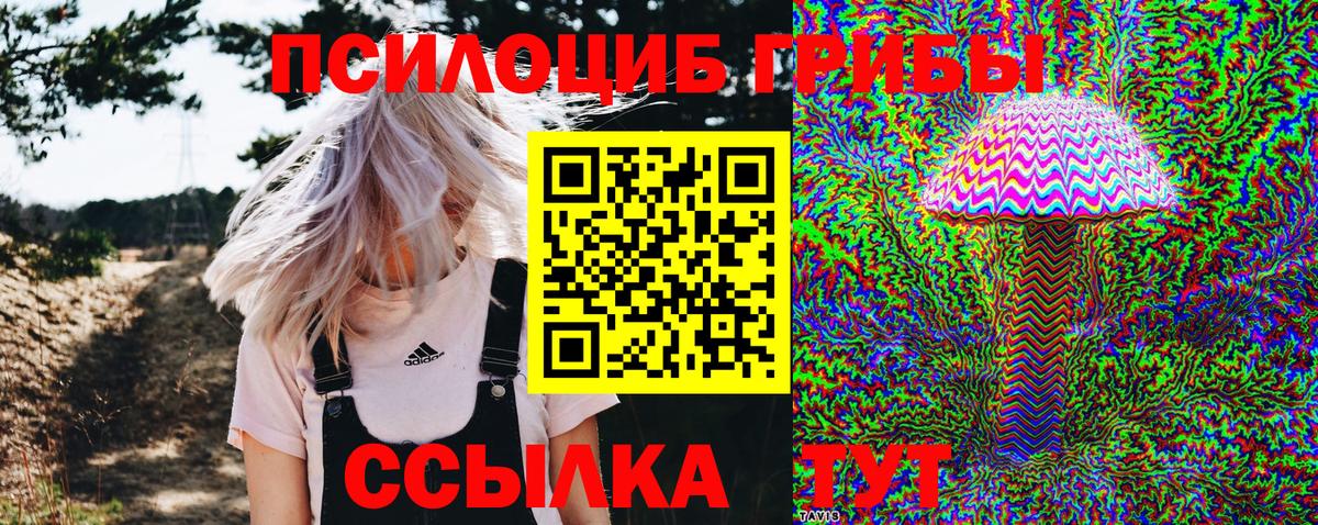 Галлюциногенные грибы Cubensis Югорск